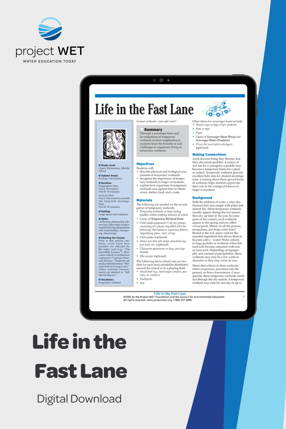 "Life in the Fast Lane" Activity, PDF DOWNLOAD