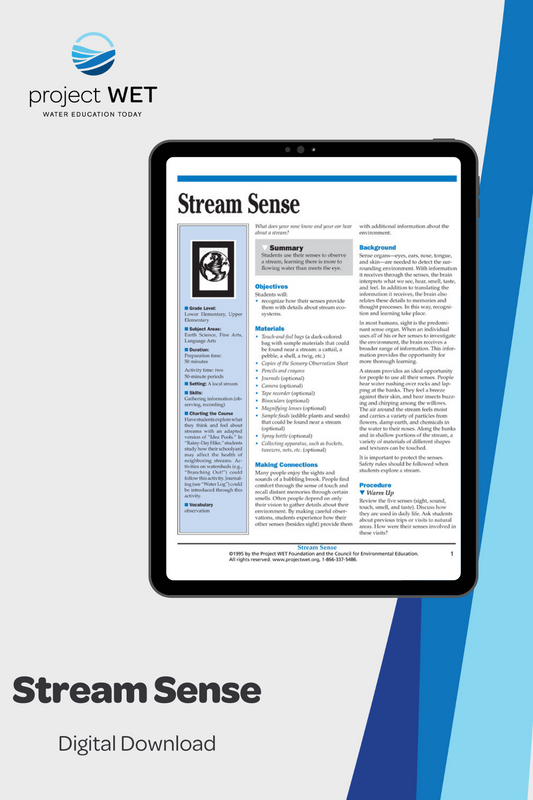 "Stream Sense" Activity,  PDF DOWNLOAD