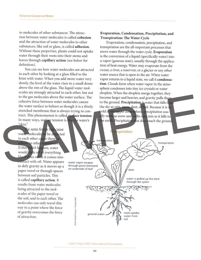 Arizona Conserve Water: Educator Guide