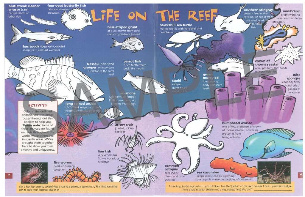 Discover Coral Reefs, KIDs Activity Booklet PDF EBOOK