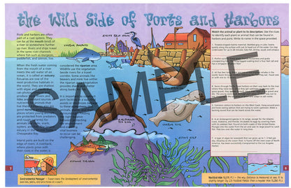 Discover Ports and Harbors, KIDs Activity Booklet PDF EBOOK
