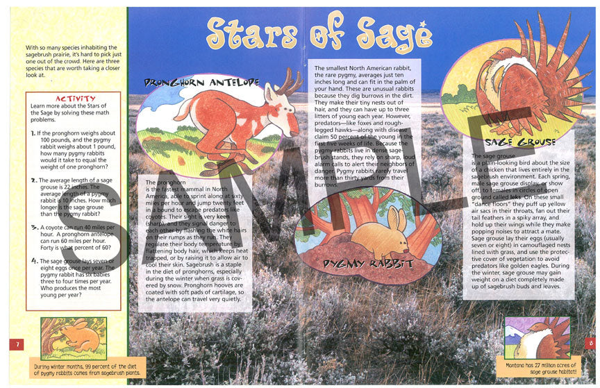 Explore Sagebrush Prairie KIDs Activity Booklet