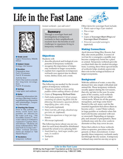 "Life in the Fast Lane" Activity, PDF DOWNLOAD