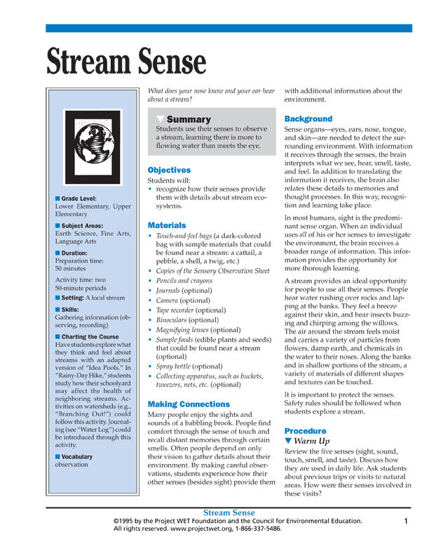 "Stream Sense" Activity, PDF DOWNLOAD