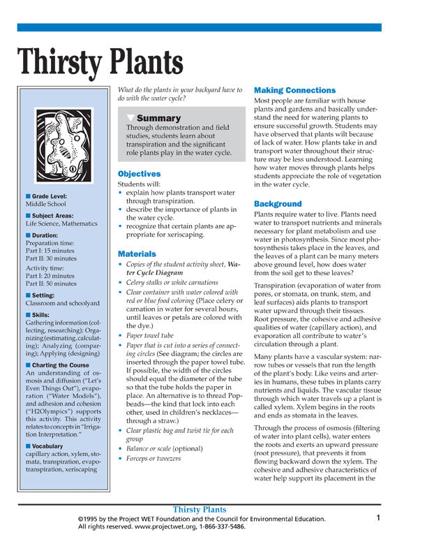 "Thirsty Plants" Activity, PDF DOWNLOAD