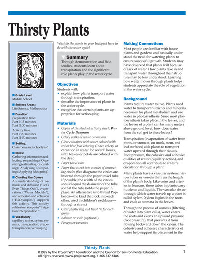 "Thirsty Plants" Activity, PDF DOWNLOAD
