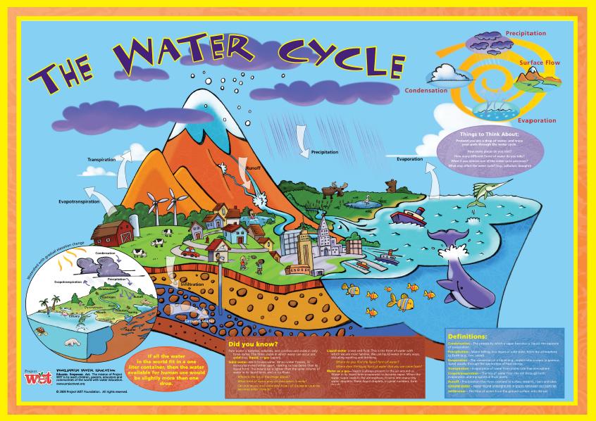 Water Cycle Poster