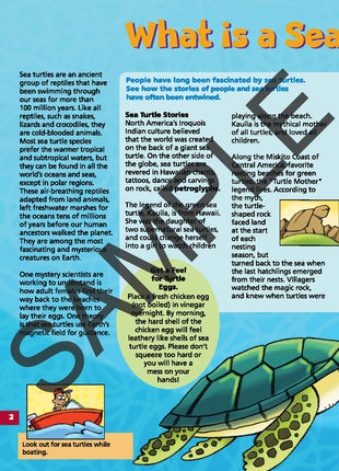 Discover Sea Turtles KIDs Activity Booklet