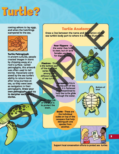 Discover Sea Turtles KIDs Activity Booklet