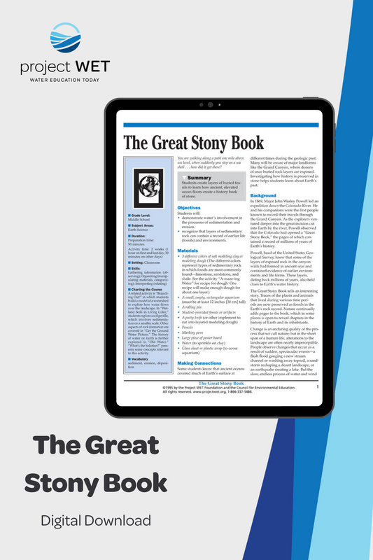 "The Great Stony Book" Activity, PDF DOWNLOAD