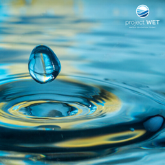 Collection image for: Featured Products