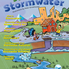 Collection image for: Stormwater