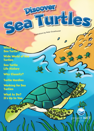 Discover Sea Turtles KIDs Activity Booklet
