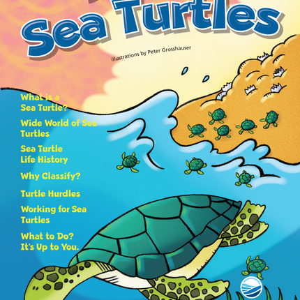 Discover Sea Turtles KIDs Activity Booklet