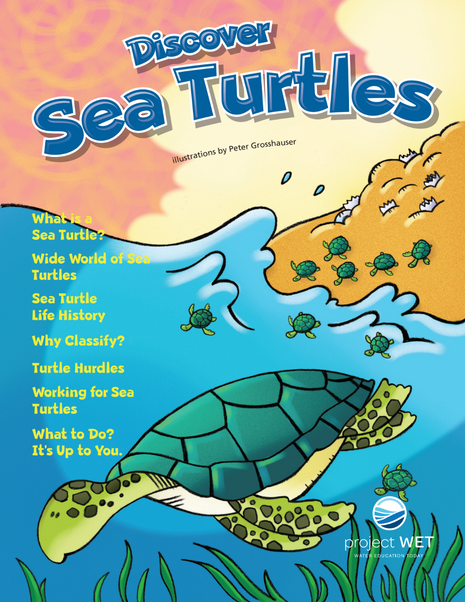 Discover Sea Turtles KIDs Activity Booklet