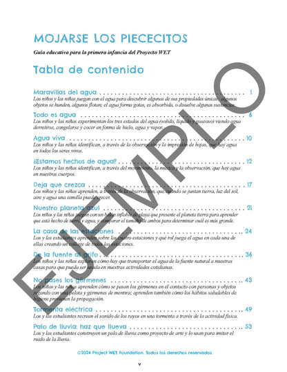 Getting Little Feet WET - Spanish (pdf only)