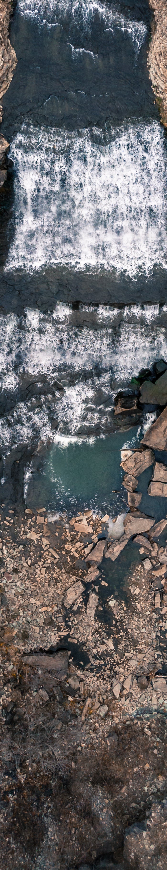 <h1>Get your free resources for Earth Day!</h1>