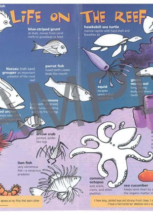 Discover Coral Reefs, KIDs Activity Booklet PDF EBOOK