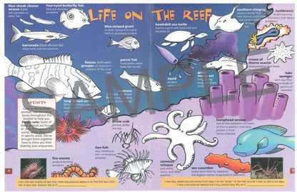 Discover Coral Reefs KIDs Activity Booklet