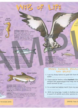 Discover the Hudson River KIDs Activity Booklet