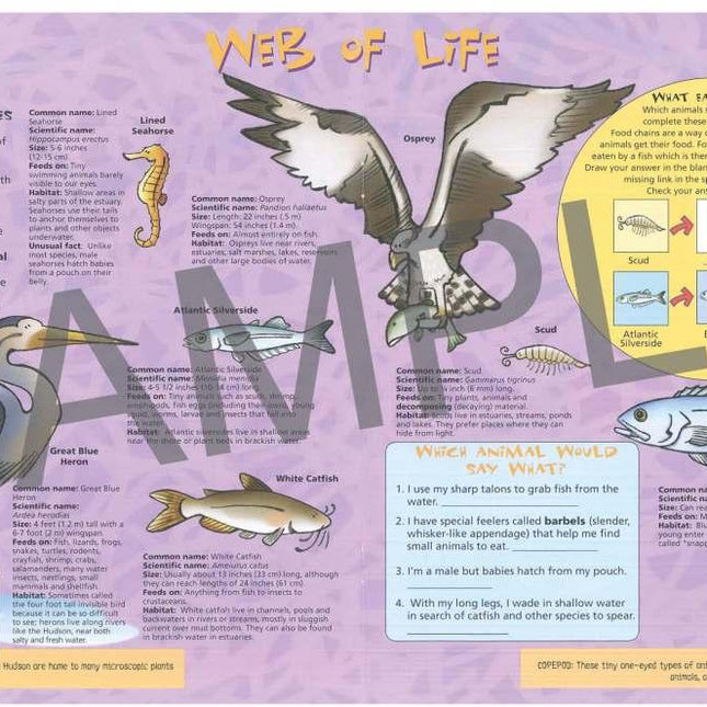 Discover the Hudson River KIDs Activity Booklet