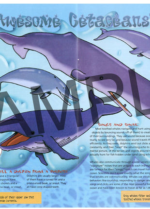 Discover Marine Mammals, KIDs Activity Booklet PDF EBOOK