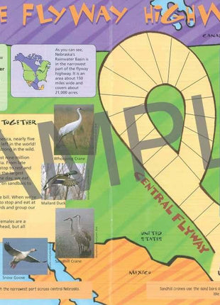 Discover the Waters of Nebraska, KIDs Activity Booklet PDF EBOOK