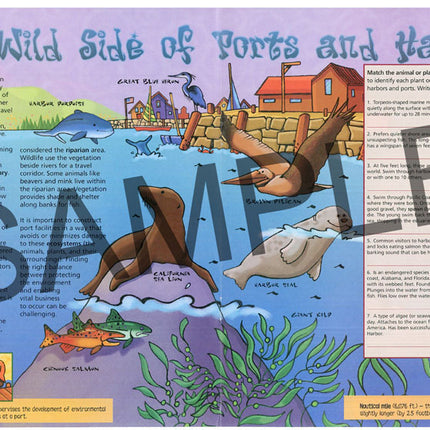 Discover Ports and Harbors, KIDs Activity Booklet PDF EBOOK