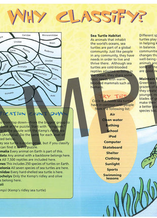 Discover Sea Turtles, KIDs Activity Booklet, PDF EBOOK