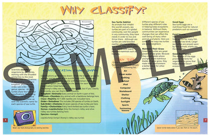 Discover Sea Turtles, KIDs Activity Booklet, PDF EBOOK