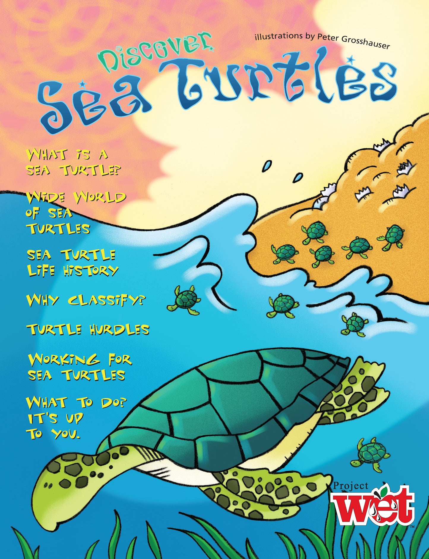 Discover Sea Turtles, KIDs Activity Booklet PDF EBOOK