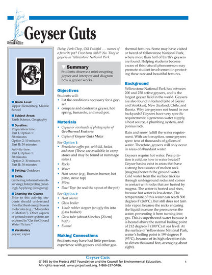 "Geyser Guts" Activity, PDF DOWNLOAD