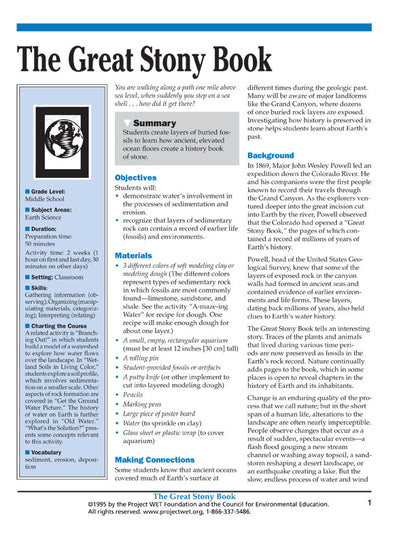 "The Great Stony Book" Activity, PDF DOWNLOAD