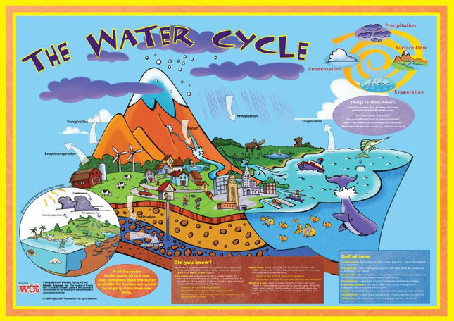 Water Cycle Poster