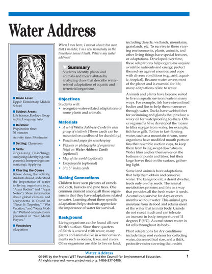 "Water Address" Activity, PDF DOWNLOAD